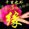 人到中年的头像