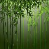春暖花开的头像