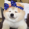 的头像