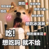 灰的头像