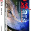 致诚的头像