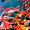 ，快乐一生。〈不玩币〉的头像