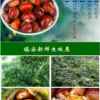 美好的头像