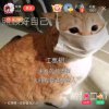 猫咪爱上鱼的头像