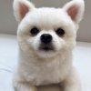 蓉蓉的头像