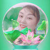 守信的头像