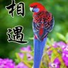 幸福一家的头像