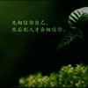 清新淡雅（零点18徒）的头像