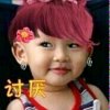郁金香的头像