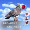 连风的头像