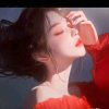 鱼儿的头像