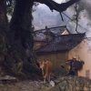 幸福一生的头像
