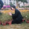 绿叶的头像