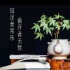芳芳的头像