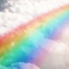 雨后彩虹的头像