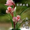 珍的头像