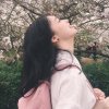 稚的头像