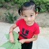 芯芯的头像