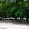 五谷丰登的头像