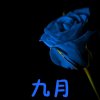 九月的头像