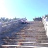 吉吉的头像