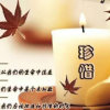 怡然的头像