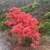 惜缘的头像