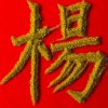 中国阿春的头像