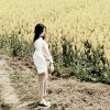 小梨涡的头像
