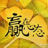 木＊木的头像