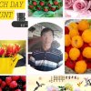 广场舞w的头像