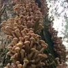 金玉满堂陈连合＜有访必回＞的头像