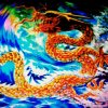 骄龙出海的头像