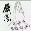 晨曦的头像