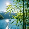 倾婳的头像