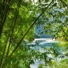 惠花如草的头像