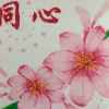 夏天的雪花的头像