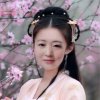 红玫瑰的头像