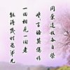 人生如梦的头像