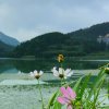 秋雨的头像