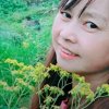 杨梅的头像