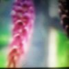 红梅花开的头像