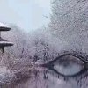杨杰的头像