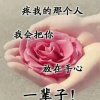 ...※六哥※...的头像