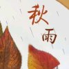  SHY秋雨的头像