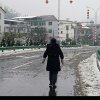 大燕的头像