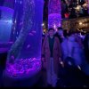 雨的头像