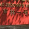 飞歌的头像