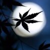 無名氏的头像