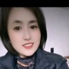 彩云追月的头像